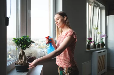 kobieta czyszcząca kwiaty na parapecie